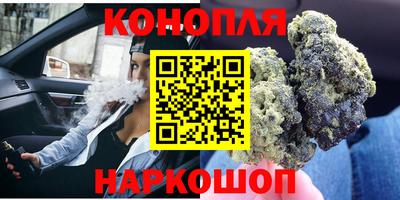 шишки Сланцы