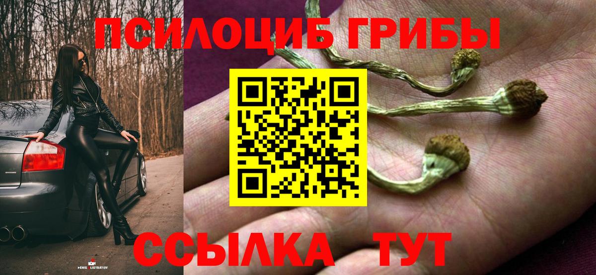 Псилоцибиновые грибы MAGIC MUSHROOMS Ростов Великий