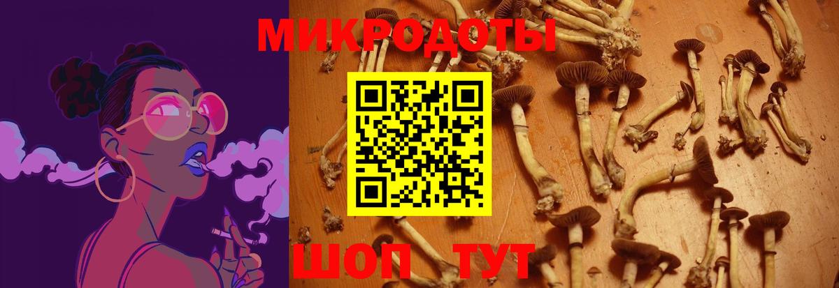 Псилоцибиновые грибы Psilocybe  Вход с VPN  где можно купить наркотик  Ростов Великий 